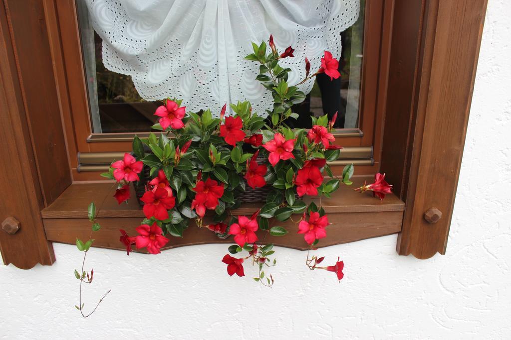 Haus Almrausch Hotel Seefeld in Tirol Kamer foto